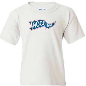 Youth Pennant T-shirt