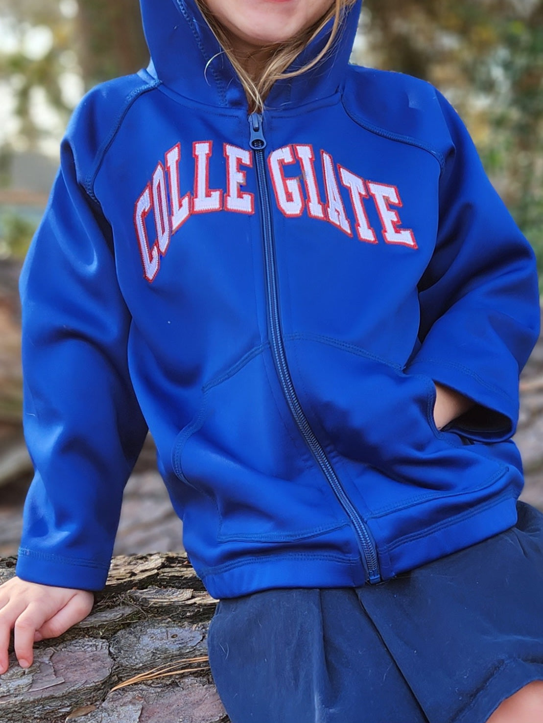 Toddler Sweatshirt - Full Zip Hooded Pullover Applique
