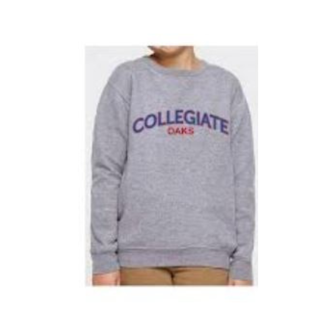Youth Sweatshirt - Crewneck Collegiate Oaks - Grey