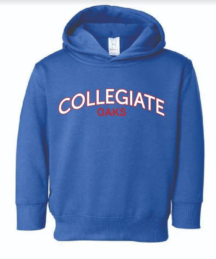 SALE - Toddler Sweatshirt - Hooded Collegiate Oaks