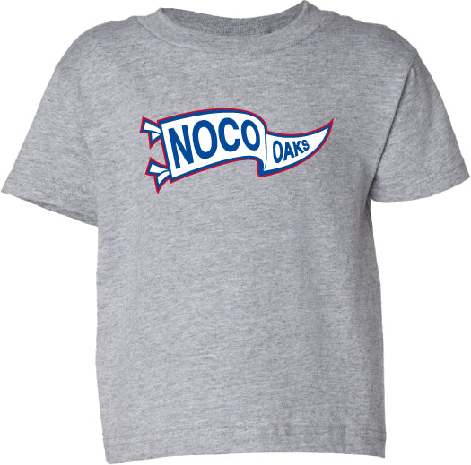 Toddler Pennant Tee