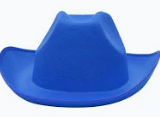 SPIRIT- Felt Cowboy Hat