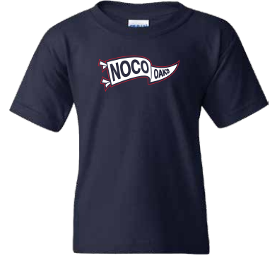 Youth Pennant T-shirt