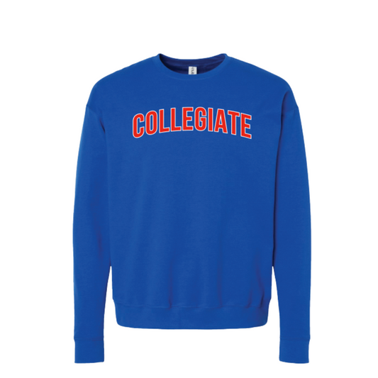 Sale - Sweatshirt - Crewneck with Embroidered Collegiate